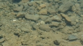 DSC04954