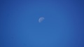 DSC08536