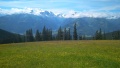 IMG_20200713_110623